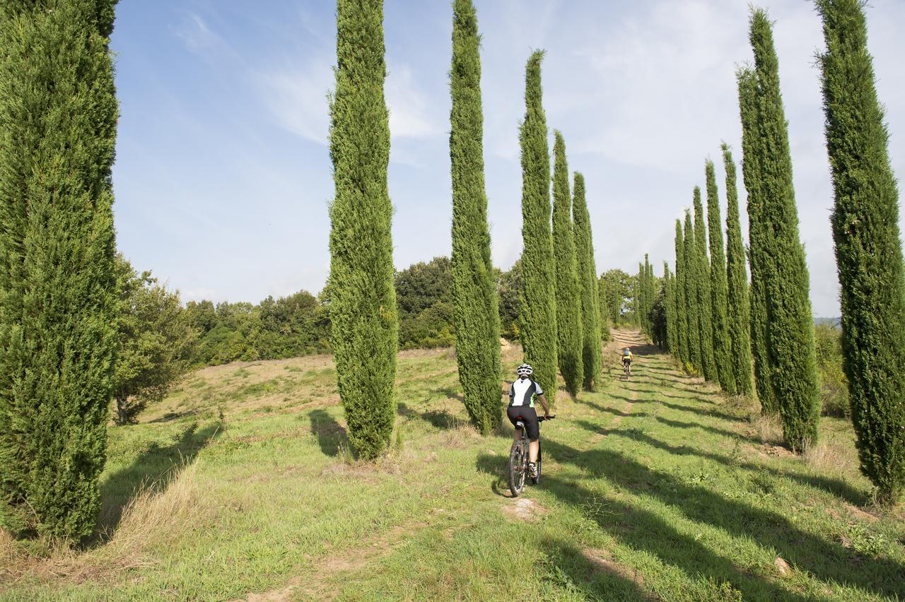 Agriturismo Poggio Corbello Vila La Pesta Exterior foto