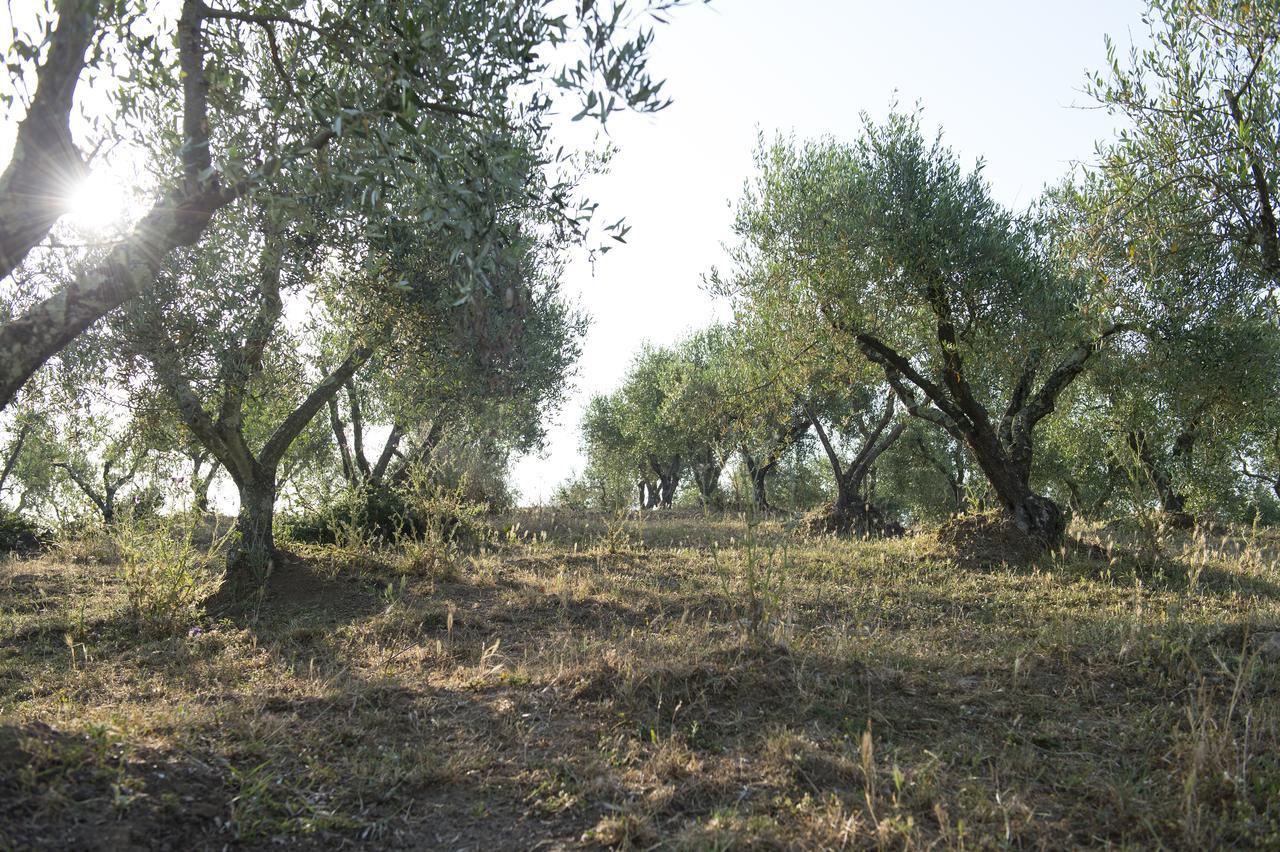 Agriturismo Poggio Corbello Vila La Pesta Exterior foto