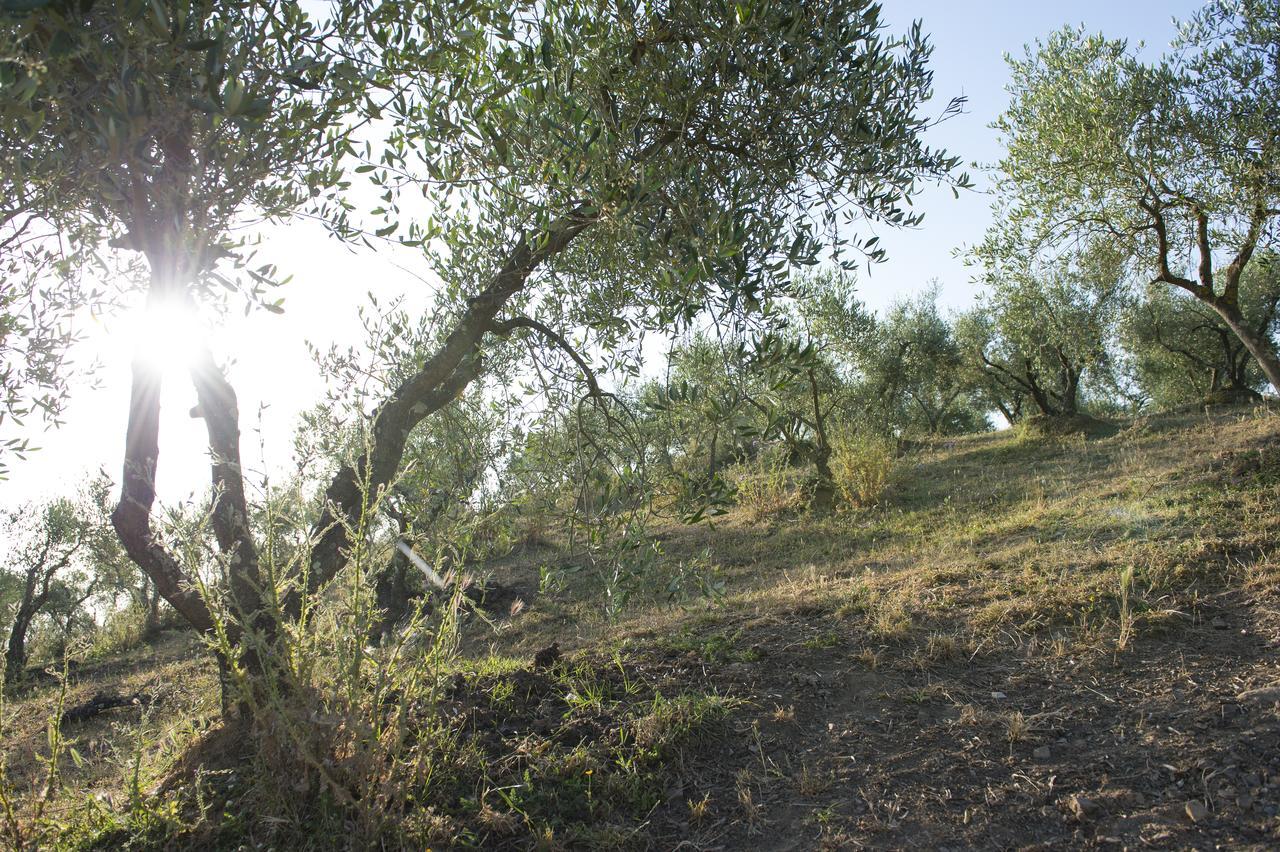 Agriturismo Poggio Corbello Vila La Pesta Exterior foto