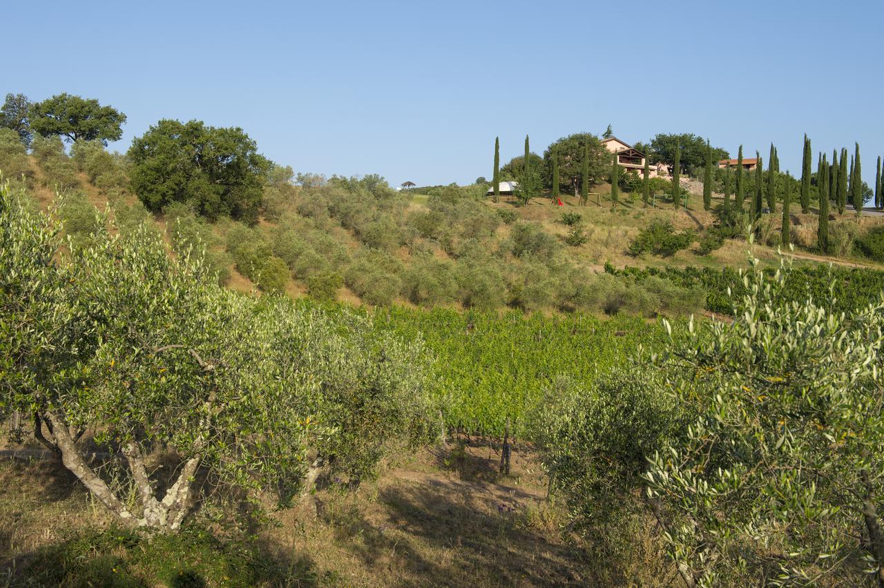 Agriturismo Poggio Corbello Vila La Pesta Exterior foto