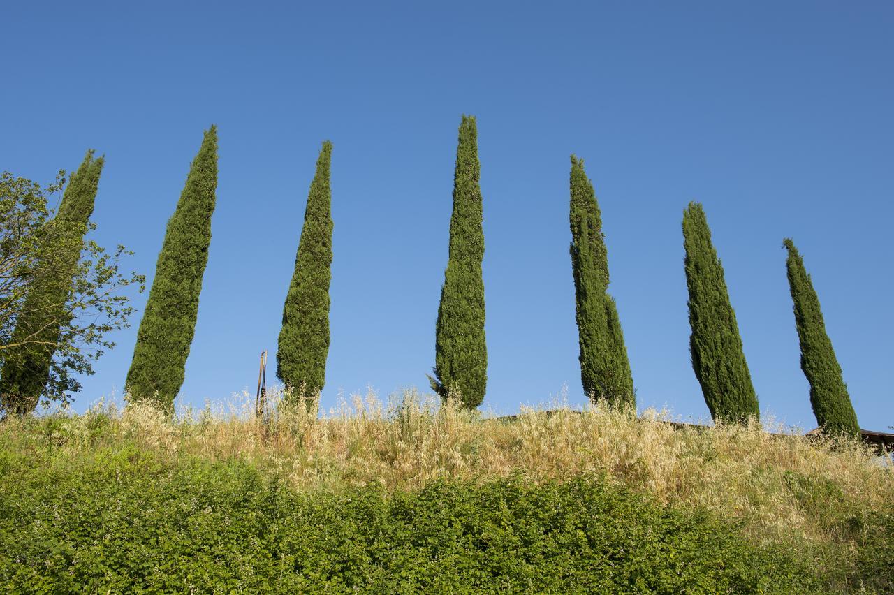 Agriturismo Poggio Corbello Vila La Pesta Exterior foto